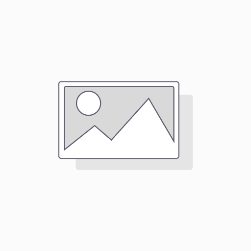 [Basic] Basic Member